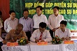 Lai Châu: Ký kết hợp đồng góp quyền sử dụng đất hợp tác trồng cao su đại điền